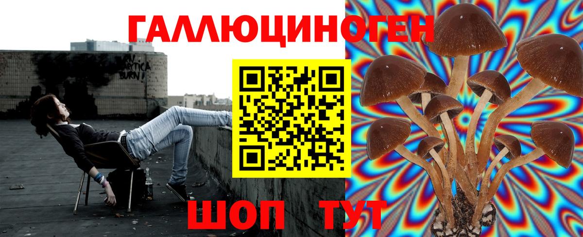 Псилоцибиновые грибы MAGIC MUSHROOMS Минусинск