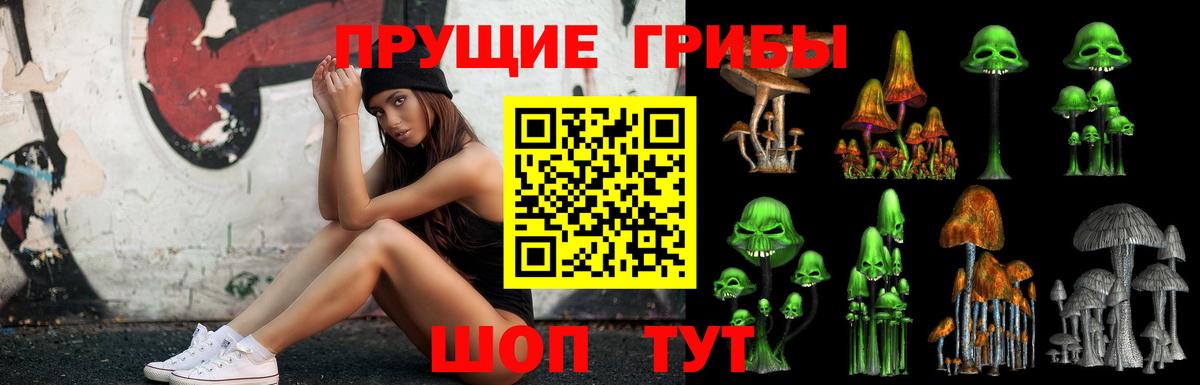 Псилоцибиновые грибы мухоморы  Вход с VPN  Галлюциногенные грибы ЛСД  Минусинск 
